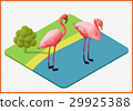 flamingo vector eps 29925388