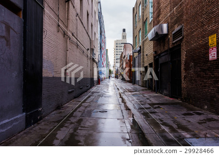 洛杉磯街 29928466