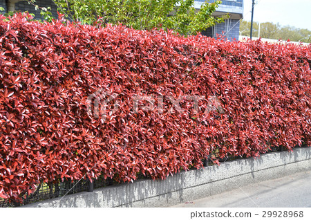 Kaname memo (required) Kaname memo (required) 29928968