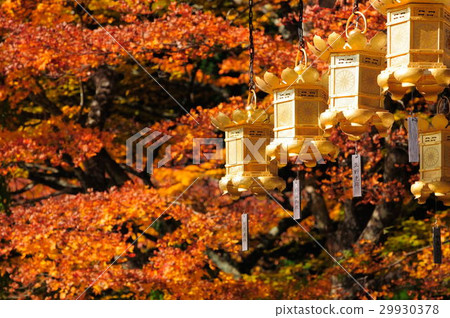 Suspended lantern Suspended lantern 29930378