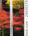 Enryakuji 29930379