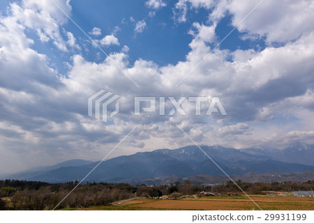 Phoenix Miyama 29931199