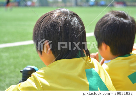 支持 支持 29931922