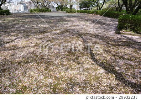 Sakura carpet Sakura carpet 29932233
