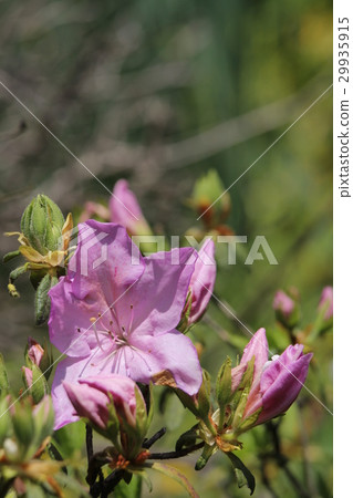 哦，我的天哪 29935915