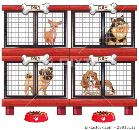 Four types of dogs in cage Four types of dogs in cage 29936112