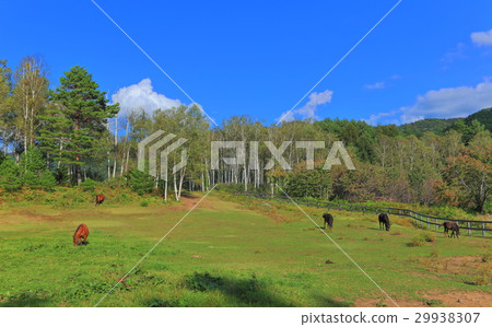 Kiso Ma的村莊 Kiso Ma的村莊 29938307