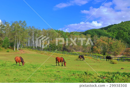 Kiso Ma的村莊 29938308
