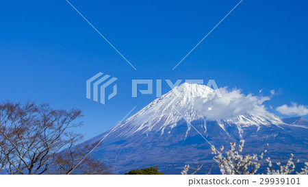 富士和拜林16：9 29939101