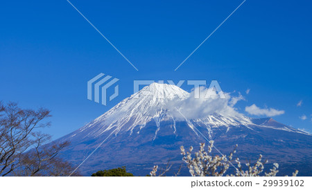 富士和拜林16：9 29939102