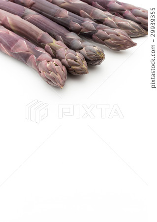 紫蘆筍：紫蘆筍 29939355