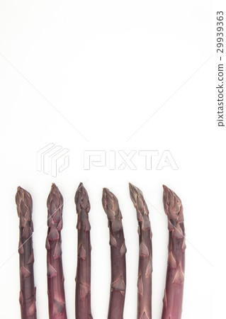 Purple asparagus: Purple asparagus Purple asparagus: Purple asparagus 29939363