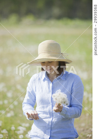 蒲公英蓬鬆的女士 29939368