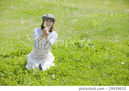 四片葉子三葉草和婦女 四片葉子三葉草和婦女 29939610