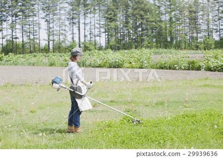 A woman working with mowing work A woman working with mowing work 29939636