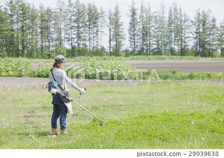 A woman working with mowing work 29939638