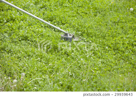 Mowing lawn mowing Mowing lawn mowing 29939643