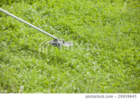 Mowing lawn mowing Mowing lawn mowing 29939645