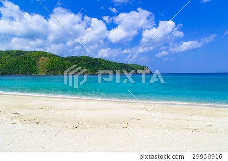 國家法院 國家法院 29939916