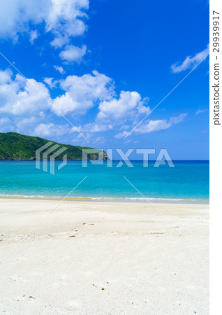 National court 29939917