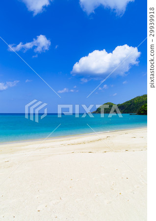 國家法院 國家法院 29939918