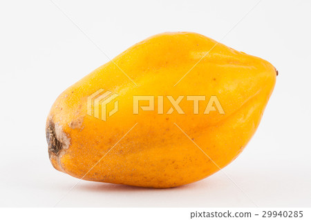 Mountain papaya (Vasconcellea pubescens) isolated Mountain papaya (Vasconcellea pubescens) isolated 29940285