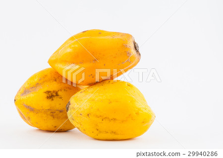 Mountain papaya (Vasconcellea pubescens) isolated Mountain papaya (Vasconcellea pubescens) isolated 29940286