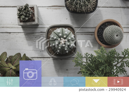 Lifestyle Capture Moments Memories Life 29940924