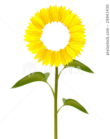 Sunflower summer flower icon - Stock Illustration [29941430] - PIXTA