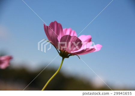 宇宙 宇宙 29941655