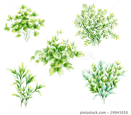 Grinleaf Grinleaf 29941858