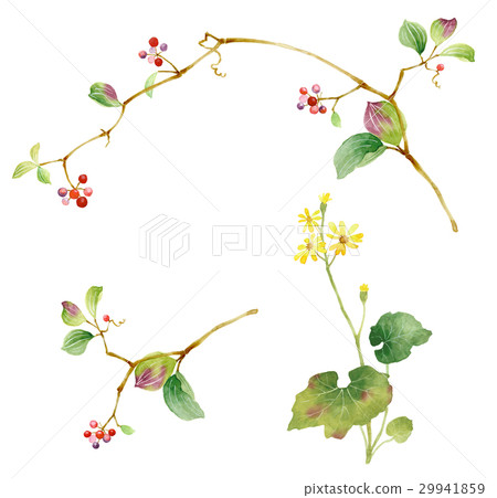 花素描 花素描 29941859