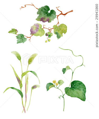 Flower sketch Flower sketch 29941860