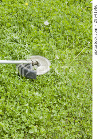 Mowing lawn mowing Mowing lawn mowing 29941966