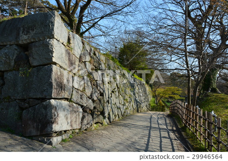 Spring Fukuoka castle Fukuoka castle ruins 29946564