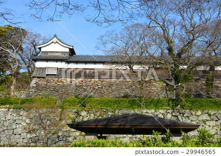 Spring Fukuoka castle Fukuoka castle ruins 29946565