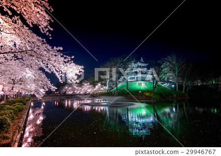 上越高田城堡高田公園Yozakura Sakura 29946767