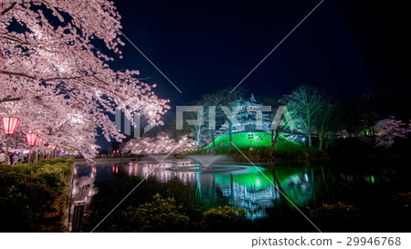 Joetsu Takada Castle Takada Park Yozakura Sakura 29946768