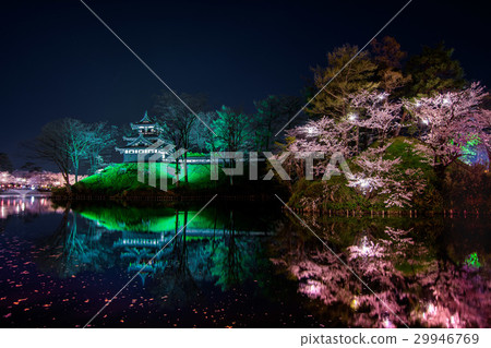 上越高田城堡高田公園Yozakura Sakura 29946769