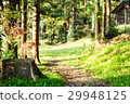 森林步行道 29948125