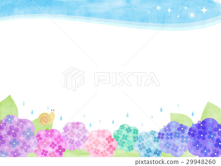 hydrangea hydrangea 29948260