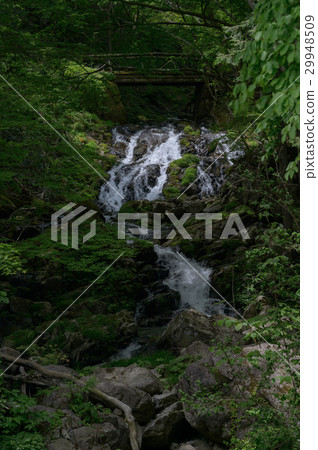 Mountain stream 29948509