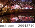 Cherry trees at Takaoka Old castle park 29948710