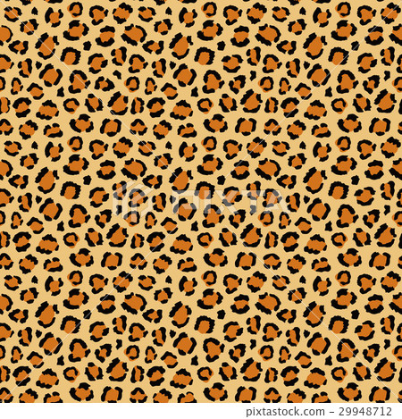Seamless leopard pattern. Seamless leopard pattern. 29948712
