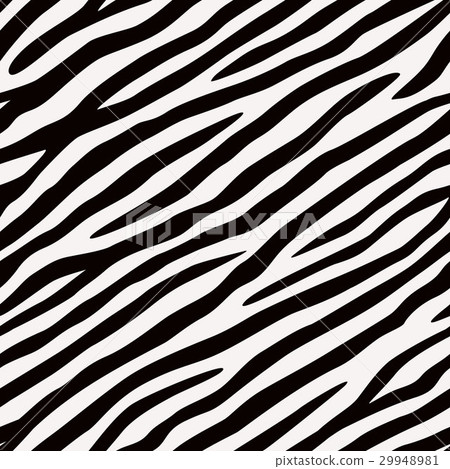 seamless pattern Zebra. Black and white colors. seamless pattern Zebra. Black and white colors. 29948981