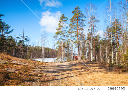 Saimaa lake coast, Imatra, Finland 29949595