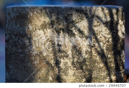 black tree shadow silhouette dirty rough surface 29949707