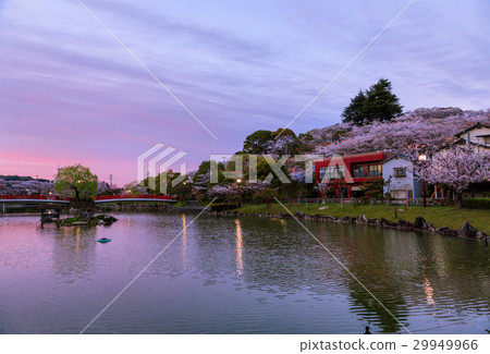 Katsumori Park 29949966