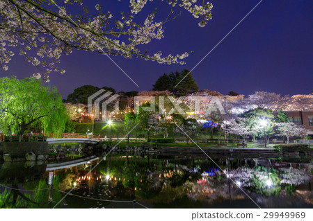 Katsumori Park 29949969