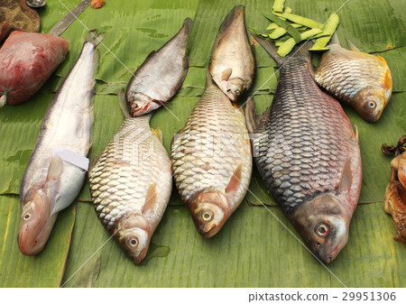 Freshly caught catfish on palm leaf in fish market 29951306